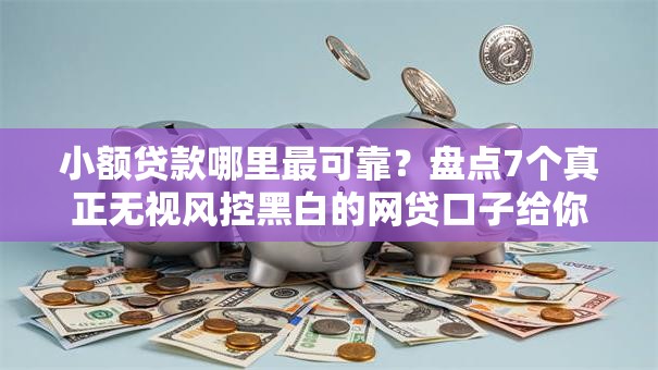 小额贷款哪里最可靠？盘点7个真正无视风控黑白的网贷口子给你参考