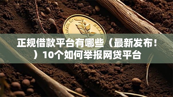 正规借款平台有哪些（最新发布！）10个如何举报网贷平台