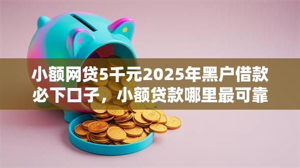 小额网贷5千元2025年黑户借款必下口子，小额贷款哪里最可靠的5个平台介绍