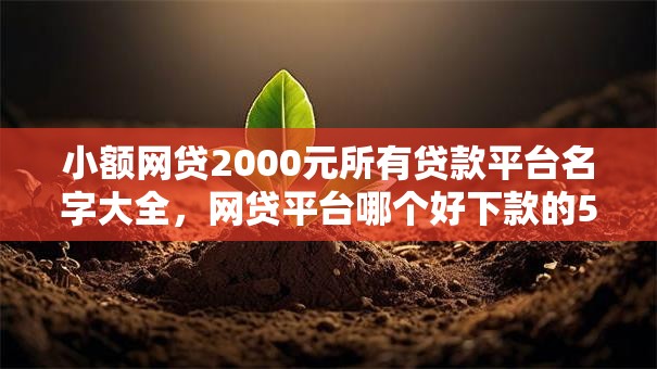 小额网贷2000元所有贷款平台名字大全，网贷平台哪个好下款的5个平台介绍