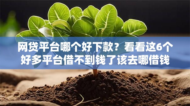 网贷平台哪个好下款?看看这6个好多平台借不到钱了该去哪借钱怎么样 网贷平台哪个好下款?看看这6个好多平台借不到钱了该去哪借钱怎么样
