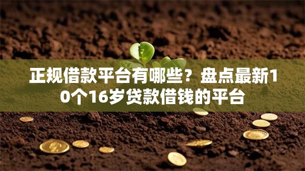 正规借款平台有哪些？盘点最新10个16岁贷款借钱的平台