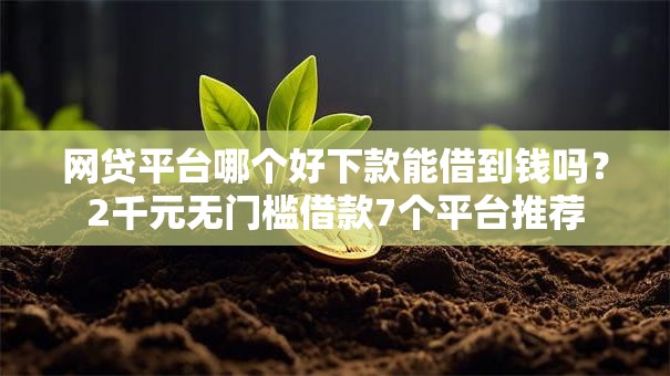 网贷平台哪个好下款能借到钱吗？2千元无门槛借款7个平台推荐