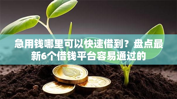 急用钱哪里可以快速借到?盘点最新6个借钱平台容易通过的 急用钱哪里可以快速借到?盘点最新6个借钱平台容易通过的