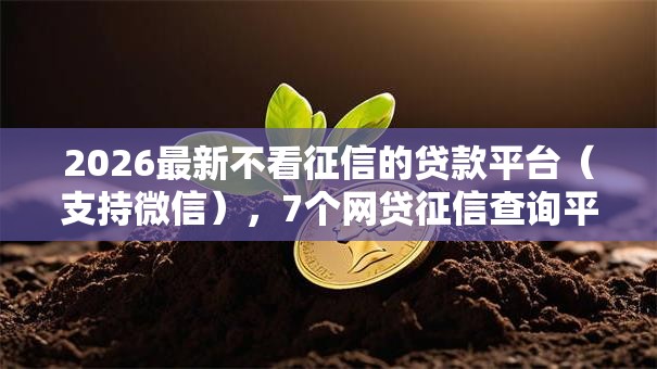 2026最新不看征信的贷款平台（支持微信），7个网贷征信查询平台无私分享