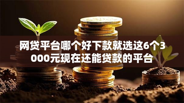 网贷平台哪个好下款就选这6个3000元现在还能贷款的平台