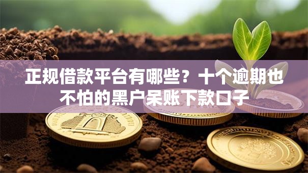正规借款平台有哪些？十个逾期也不怕的黑户呆账下款口子