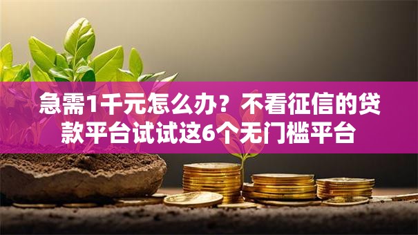 急需1千元怎么办？不看征信的贷款平台试试这6个无门槛平台