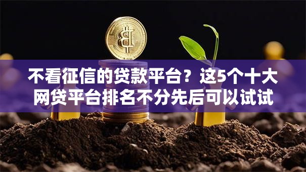 不看征信的贷款平台？这5个十大网贷平台排名不分先后可以试试