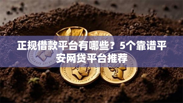 正规借款平台有哪些？5个靠谱平安网贷平台推荐