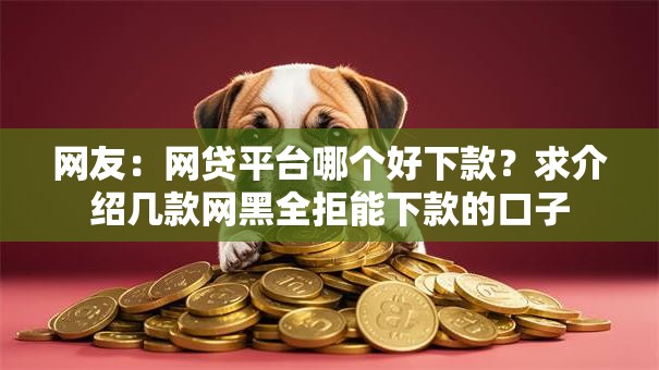 网友：网贷平台哪个好下款？求介绍几款网黑全拒能下款的口子