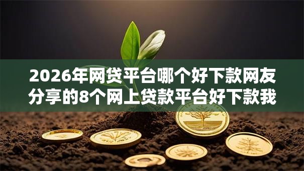 2026年网贷平台哪个好下款网友分享的8个网上贷款平台好下款我觉得不错！