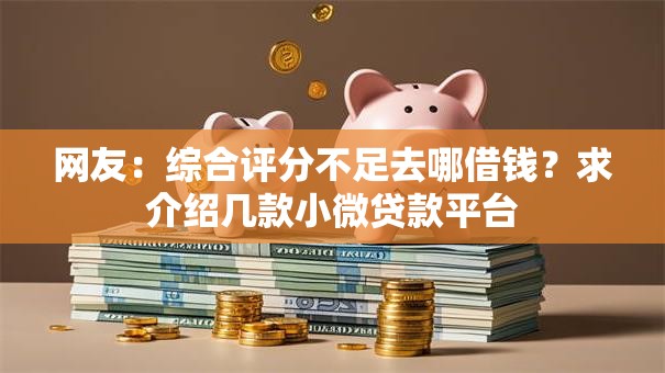 网友：综合评分不足去哪借钱？求介绍几款小微贷款平台