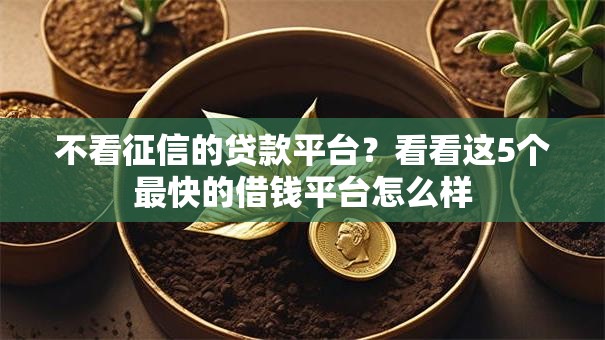 不看征信的贷款平台？看看这5个最快的借钱平台怎么样