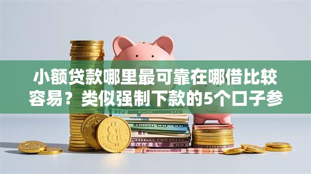 小额贷款哪里最可靠在哪借比较容易？类似强制下款的5个口子参考