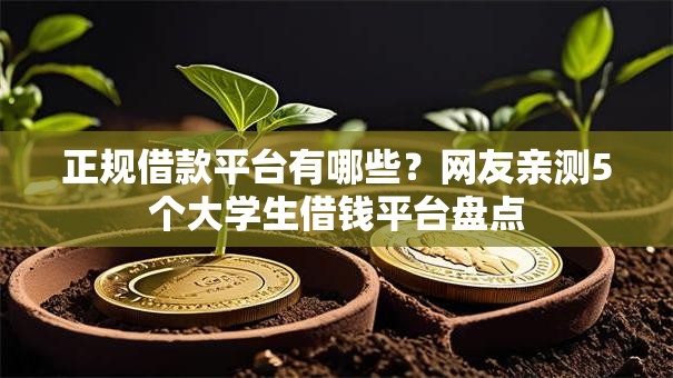 正规借款平台有哪些?网友亲测5个大学生借钱平台盘点 正规借款平台有哪些?网友亲测5个大学生借钱平台盘点