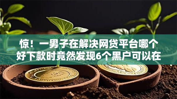 惊！一男子在解决网贷平台哪个好下款时竟然发现6个黑户可以在平台上借到钱，事后分享了出来