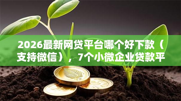 2026最新网贷平台哪个好下款（支持微信），7个小微企业贷款平台无私分享