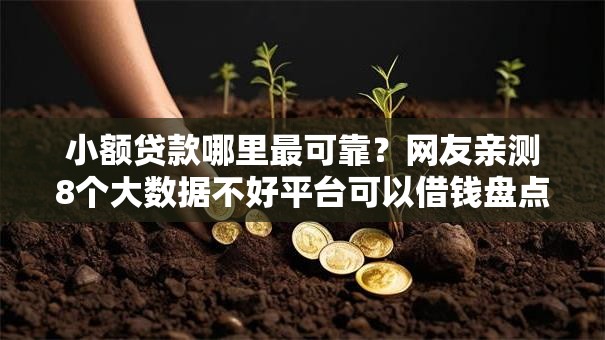 小额贷款哪里最可靠？网友亲测8个大数据不好平台可以借钱盘点