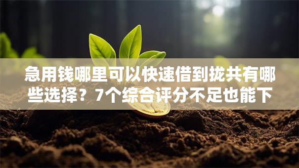 急用钱哪里可以快速借到拢共有哪些选择？7个综合评分不足也能下款的网贷详解