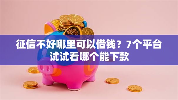 征信不好哪里可以借钱？7个平台试试看哪个能下款