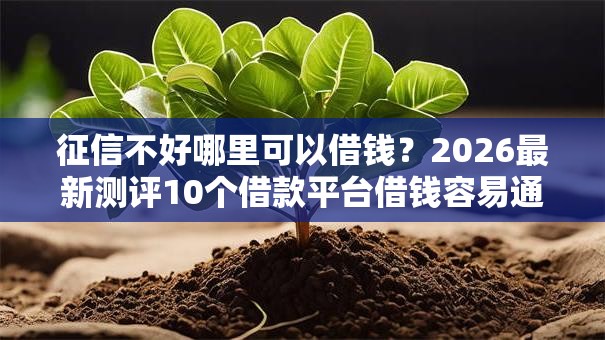 征信不好哪里可以借钱？2026最新测评10个借款平台借钱容易通过
