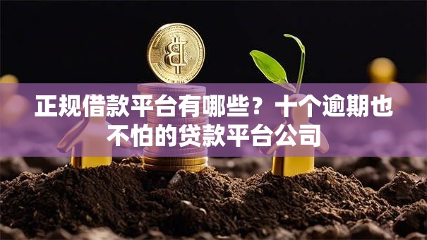 正规借款平台有哪些？十个逾期也不怕的贷款平台公司