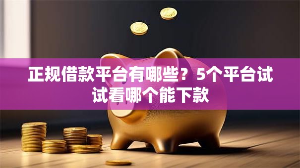 正规借款平台有哪些？5个平台试试看哪个能下款