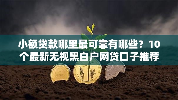 小额贷款哪里最可靠有哪些？10个最新无视黑白户网贷口子推荐给你