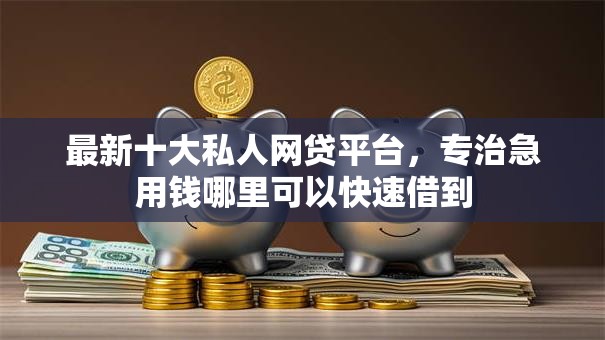 最新十大私人网贷平台，专治急用钱哪里可以快速借到
