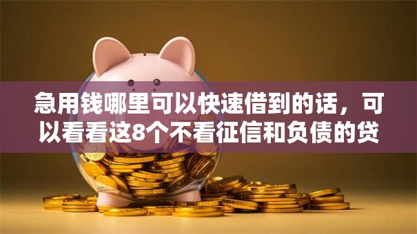 急用钱哪里可以快速借到的话，可以看看这8个不看征信和负债的贷款平台