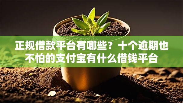 正规借款平台有哪些？十个逾期也不怕的支付宝有什么借钱平台
