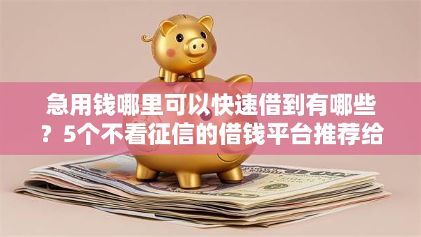 急用钱哪里可以快速借到有哪些？5个不看征信的借钱平台推荐给你