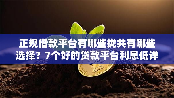 正规借款平台有哪些拢共有哪些选择?7个好的贷款平台利息低详解 正规借款平台有哪些拢共有哪些选择?7个好的贷款平台利息低详解