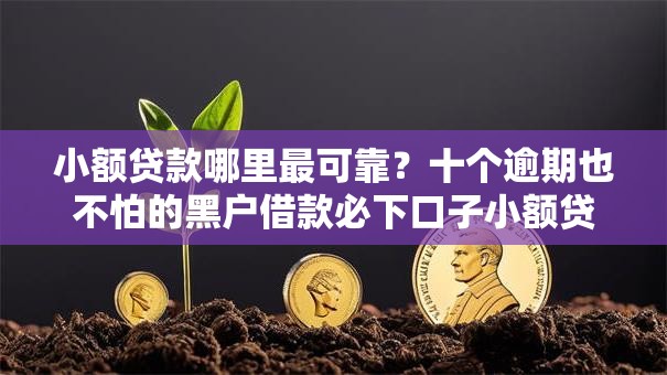 小额贷款哪里最可靠？十个逾期也不怕的黑户借款必下口子小额贷款