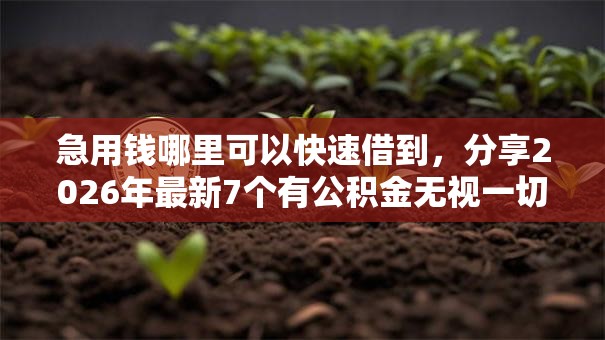 急用钱哪里可以快速借到,分享2026年最新7个有公积金无视一切的口子 急用钱哪里可以快速借到,分享2026年最新7个有公积金无视一切的口子