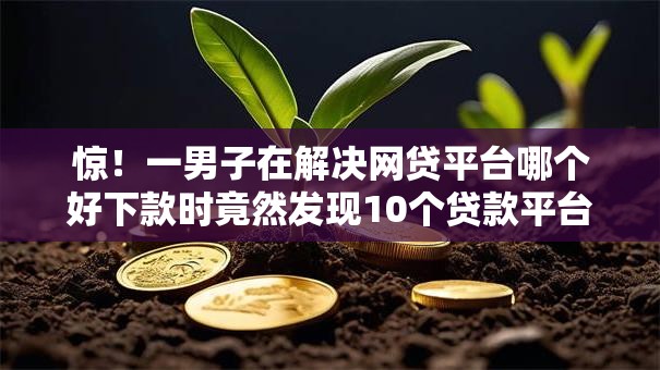 惊!一男子在解决网贷平台哪个好下款时竟然发现10个贷款平台公司,事后分享了出来 惊!一男子在解决网贷平台哪个好下款时竟然发现10个贷款平台公司,事后分享了出来