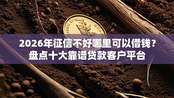 2026年征信不好哪里可以借钱？盘点十大靠谱贷款客户平台