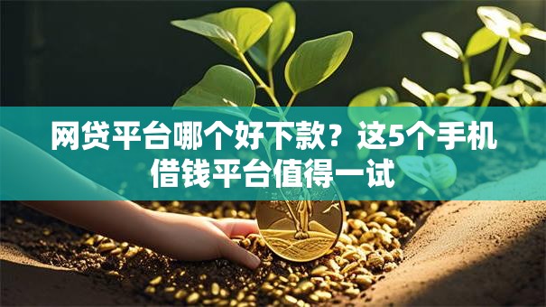 网贷平台哪个好下款？这5个手机借钱平台值得一试