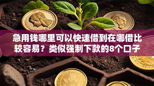 急用钱哪里可以快速借到在哪借比较容易？类似强制下款的8个口子参考