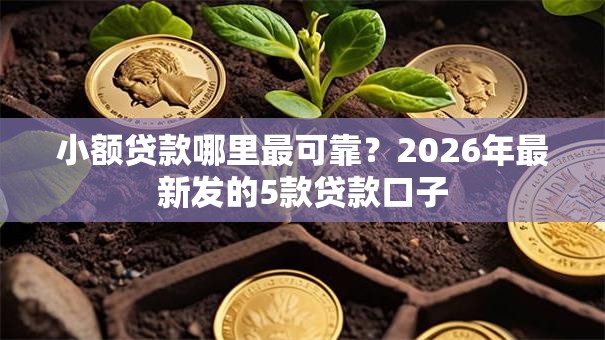 小额贷款哪里最可靠?2026年最新发的5款贷款口子 小额贷款哪里最可靠?2026年最新发的5款贷款口子