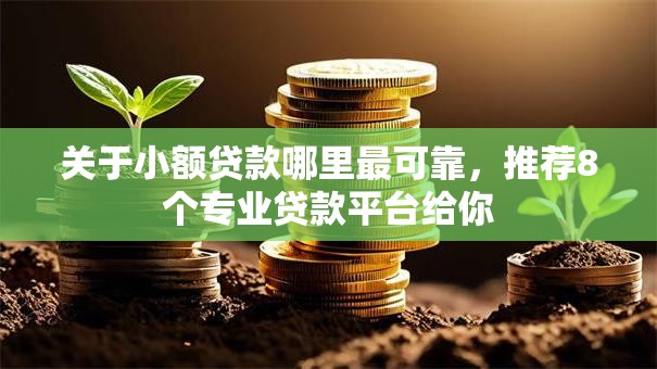 关于小额贷款哪里最可靠，推荐8个专业贷款平台给你