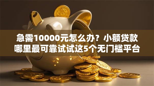 急需10000元怎么办？小额贷款哪里最可靠试试这5个无门槛平台