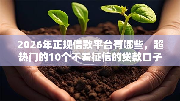2026年正规借款平台有哪些，超热门的10个不看征信的贷款口子推荐