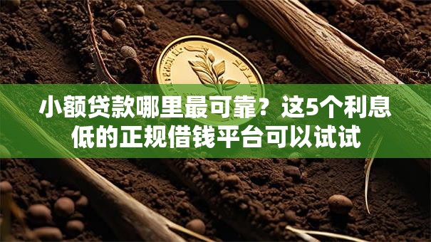 小额贷款哪里最可靠?这5个利息低的正规借钱平台可以试试 小额贷款哪里最可靠?这5个利息低的正规借钱平台可以试试