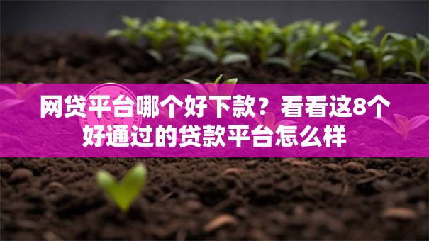 网贷平台哪个好下款？看看这8个好通过的贷款平台怎么样
