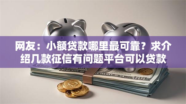 网友：小额贷款哪里最可靠？求介绍几款征信有问题平台可以贷款