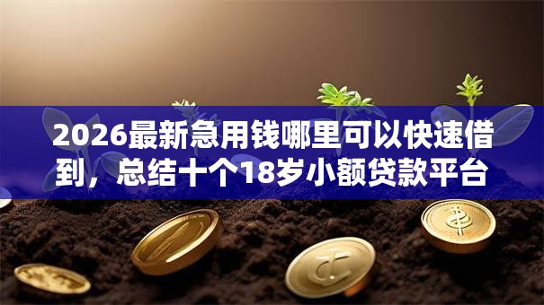 2026最新急用钱哪里可以快速借到，总结十个18岁小额贷款平台！
