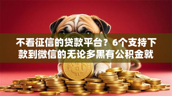 不看征信的贷款平台?6个支持下款到微信的无论多黑有公积金就能下款 不看征信的贷款平台?6个支持下款到微信的无论多黑有公积金就能下款