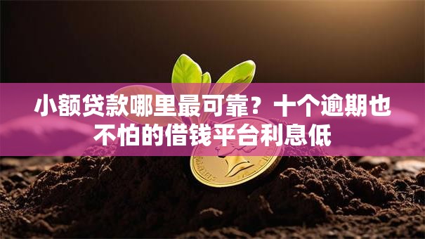 小额贷款哪里最可靠？十个逾期也不怕的借钱平台利息低